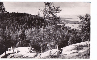 VANHA Postikortti Koli 1950-l Yläkoli Rivileima