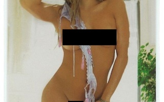 2008 Playboy Vixens #39 Gabriela Sferrazza