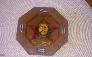 Tuhkakuppi Che Guevara, Argentiina