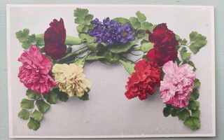Vanha postikortti kukat