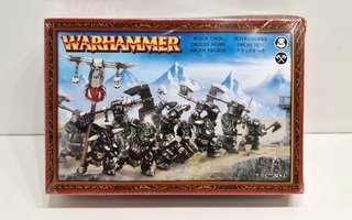 Warhammer Fantasy - Black Orcs Regiment UUSI (2007)