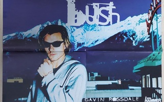 Bush - Gavin Rossdale / Silverchair :Juliste 90-luvun alusta
