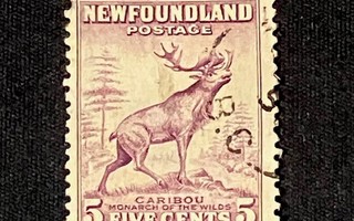 Kanada, Newfoundland, Caribou, 1930-luvulta