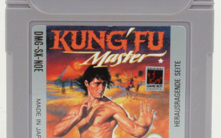 Kung-Fu Master