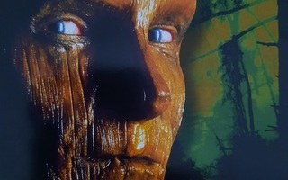 The Fear II - Halloween night DVD