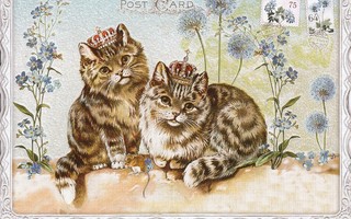 Barbara Behr: Kaksi kissaa