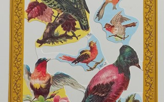 Kiiltokuva-arkki linnut