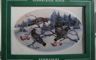 Kermansavi lintutaulu Suomalaisia kuvia