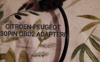 Citroën 30pin obd