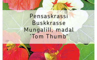Pensaskrassi " Tom Thumb " - siemenet