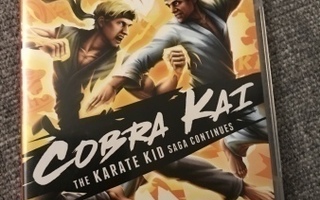Cobra Kai the karate kid saga continues