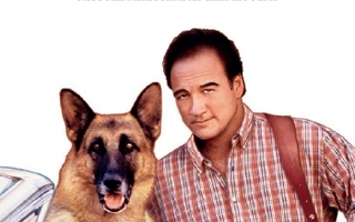 k-911	(70 435)	UUSI	-FI-	DVD			james belushi	1999