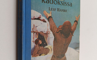 Leif Hamre : Lentokone kadoksissa