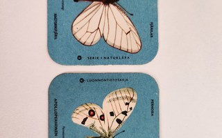 Kahvikuvat, perhosia