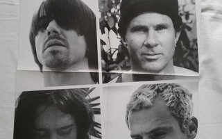 juliste RED HOT CHILI PEPPERS / EZKIMO