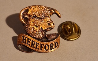 HEREFORD PINSSI