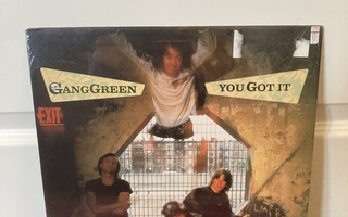 Gang Green – You Got It LP