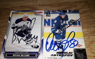 Bryan McCabe (Toronto Maple Leafs) kortti nimmarilla