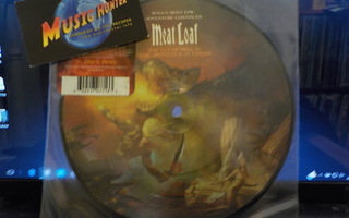 Meat Loaf - It's All Coming Back To Me Now EU -06 EX 7"