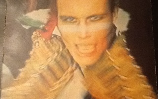 ADAM AND THE ANTS/ Kings of the wild frontier - LP