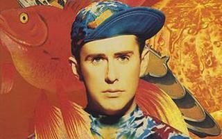 HOLLY JOHNSON: Dreams that money can´t buy (CD), 1991