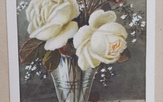 Valkoisia ruusuja lasimaljassa, onnittelupk, p. 1953