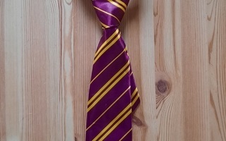 Pojalle Harry Potter kravatti