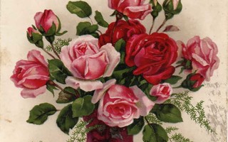RUUSU / Ihastuttavat ruusut valkealla liinalla. 1940-l.