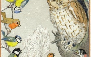 Molly Brett: Pöllö ja muita lintuja