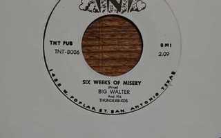 Big Walter And His Thunderbirds -  Six Weeks Of Misery 7"