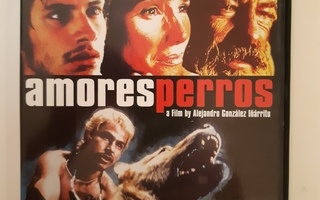 Amores Perros - DVD