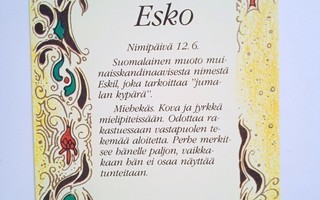 NO 1 - ESKO - NIMIPÄIVÄ