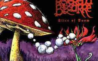 Reverend Bizarre – Slice Of Doom 4CD +DVD Box Set SIGNED