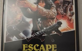 Escape from The bronx