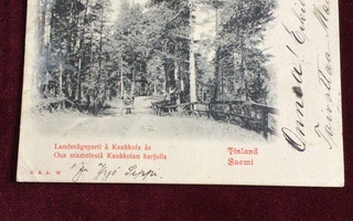 Kaukalon harju 1902