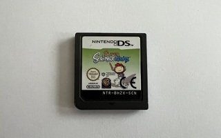 Nintendo DS - Super Scribble Nauts Loose SCN