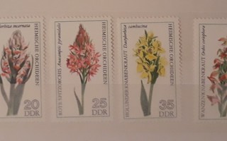 DDR 1976 - Orkideoita (6)  ++