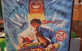 Street fighter 2 md