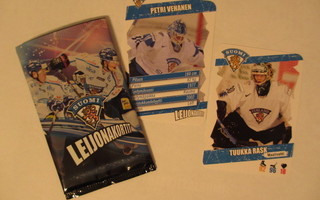 2013-14 Leijonakortit, KATSO!