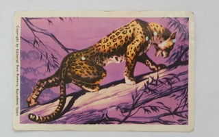 Hellas - Jenkki – Villieläimiä # 64 Pantteri – purkkakortti