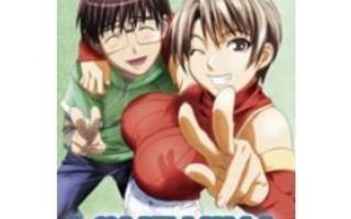 Love Hina (Ultimate Collection 8 Disc)  DVD