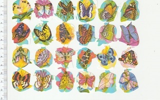 *  kauniit perhoset, pikku-arkki, 15x11cm *