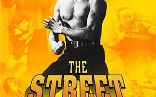 Street Fighter (Sonny Chiba)	(81 718)	UUSI	-FI-	nordic,	DVD