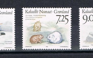 Grönlanti 1994 - Eläimiä (3)  ++