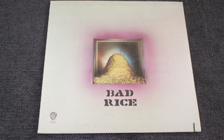 Ron Nagle - Bad Rice LP 1970