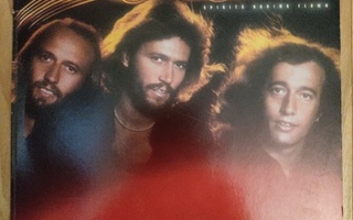 BEE GEES      ( LP )