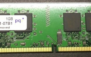 PQi 1GB DDR2 667Mhz DIMM muistikampa