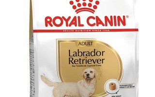 ROYAL CANIN Labrador Adult - koiran kuivaruoka -