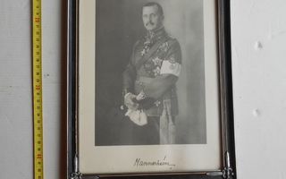 Mannerheim-taulu