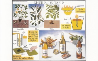 Koulutaulu oliiviöljy (postikortti)